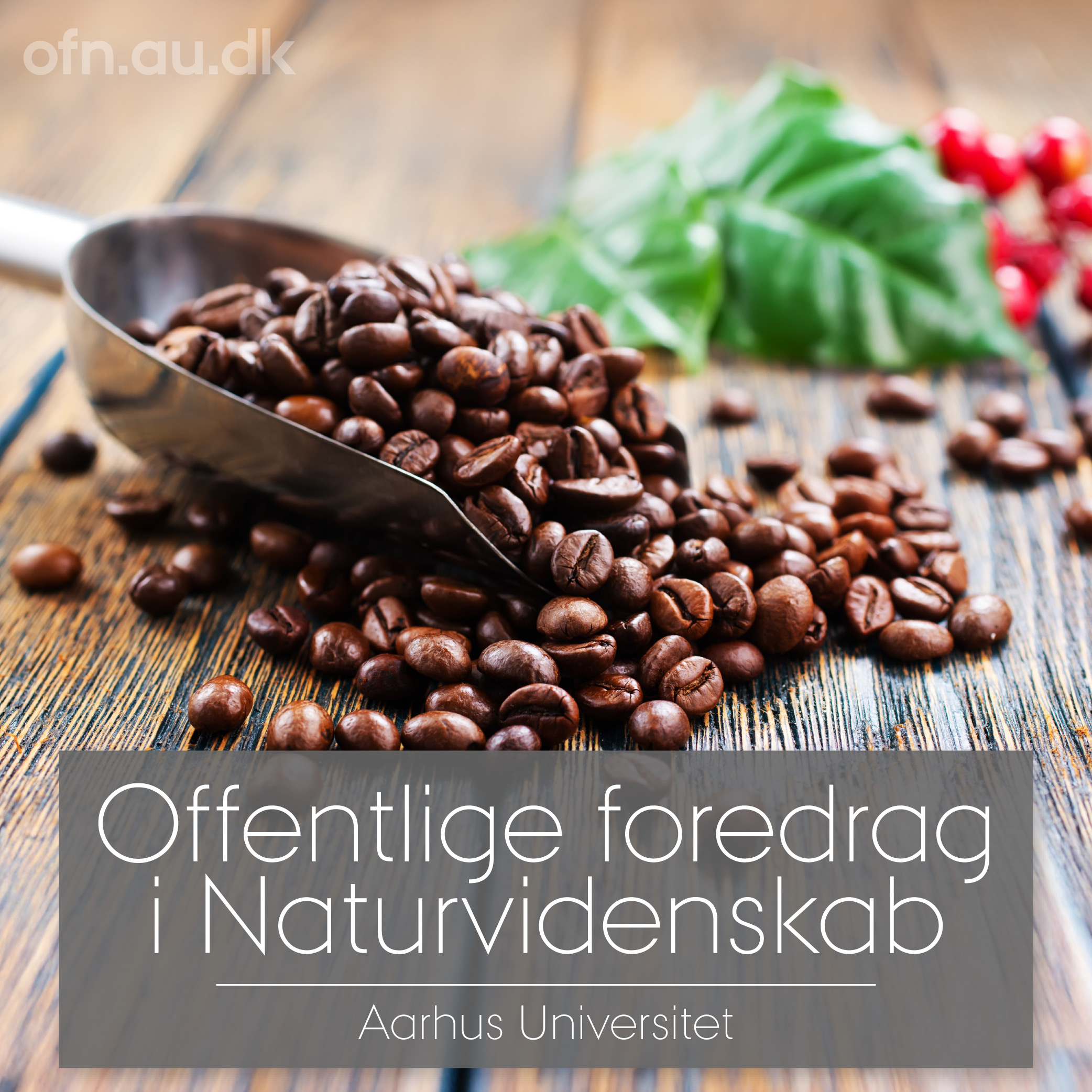 Livestreaming: Kaffe