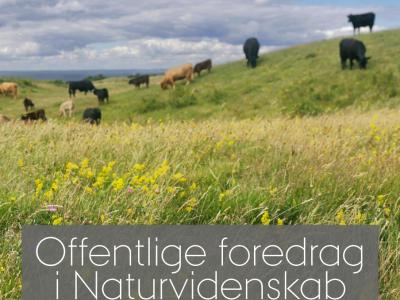 Livesreaming - Fortidens og fremtidens vilde natur