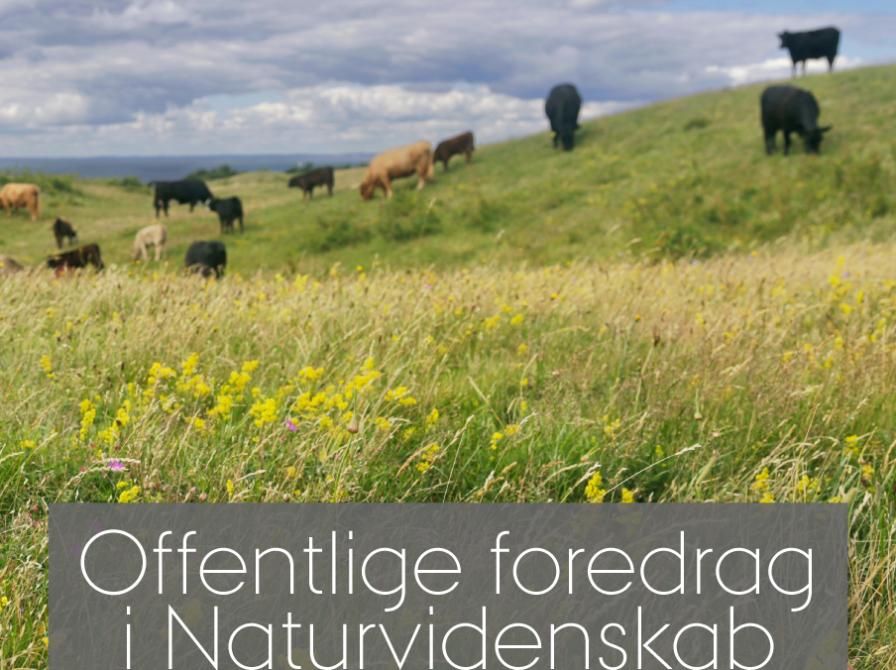 Livesreaming - Fortidens og fremtidens vilde natur