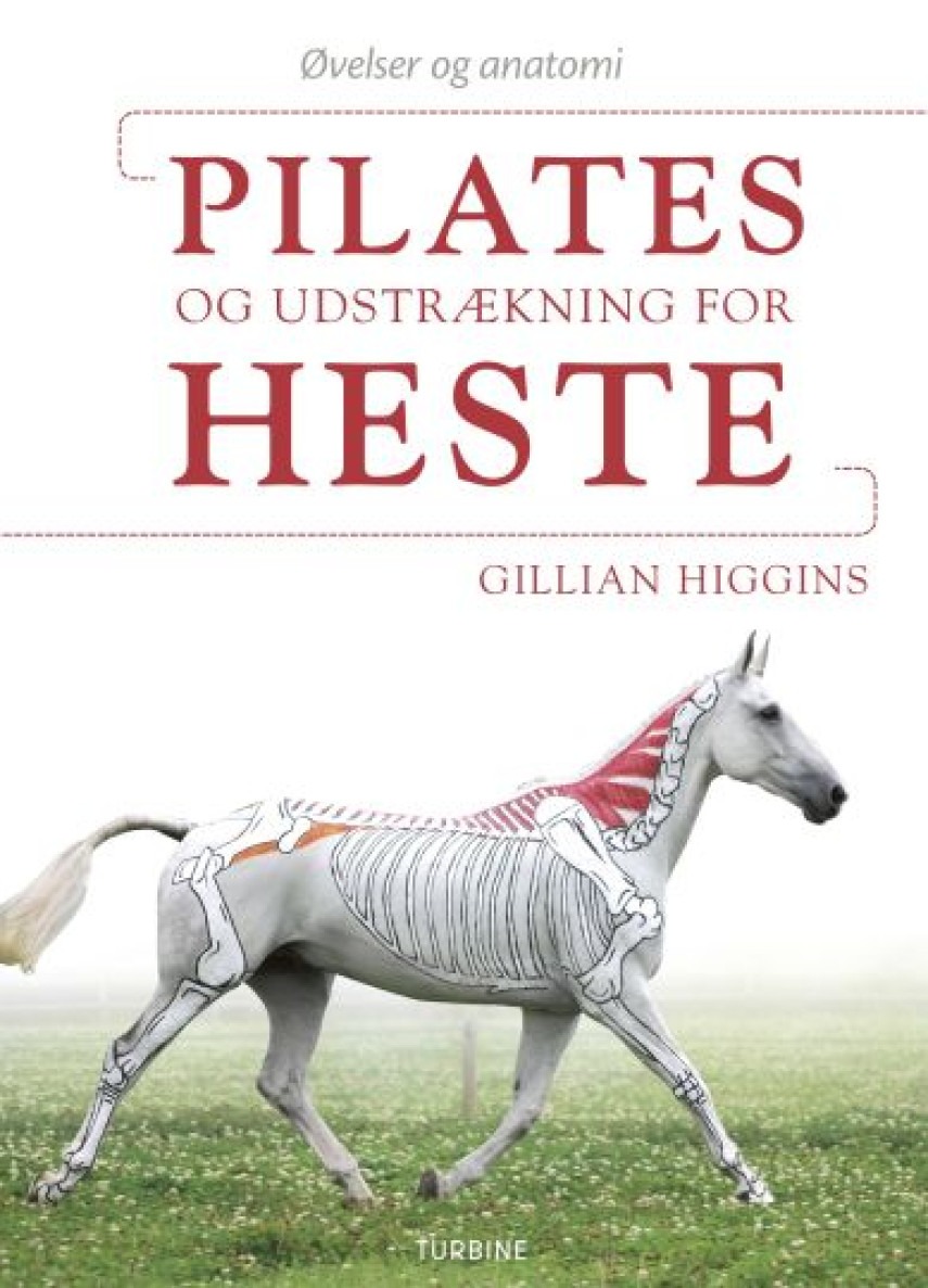 flertal slump kapsel Materiale | Pilates og udstrækning for heste : øvelser og anatomi |  Syddjurs Bibliotek