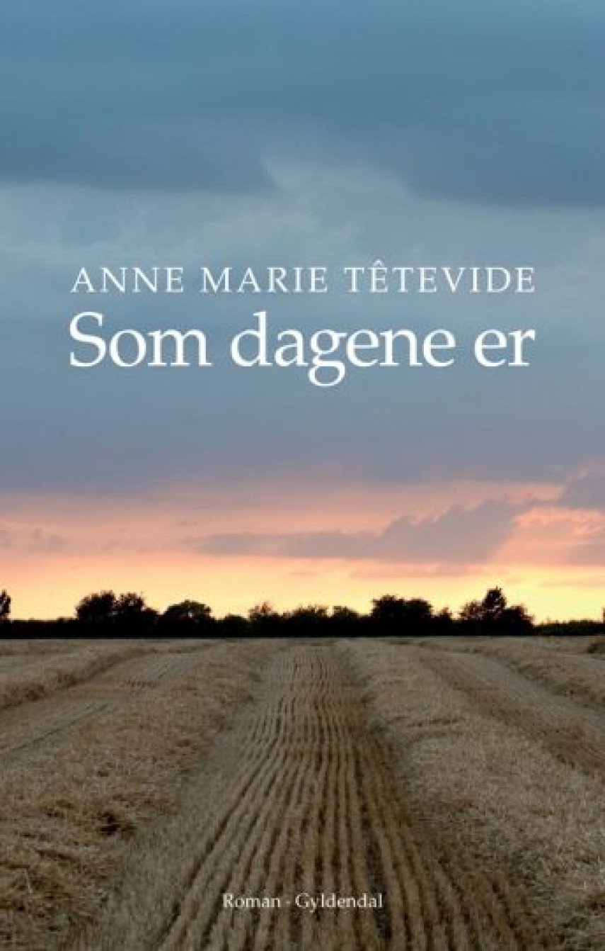 Anne Marie Têtevide: Som dagene er : roman